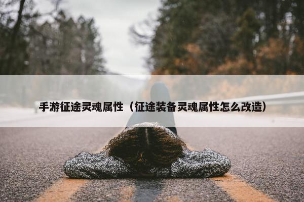 手游征途灵魂属性（征途装备灵魂属性怎么改造）