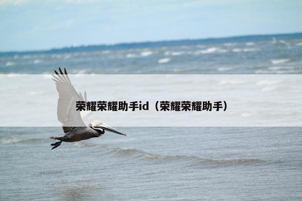 荣耀荣耀助手id（荣耀荣耀助手）