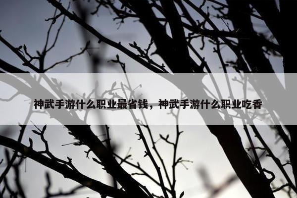 神武手游什么职业最省钱，神武手游什么职业吃香