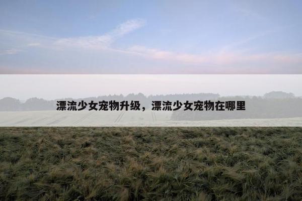 漂流少女宠物升级，漂流少女宠物在哪里