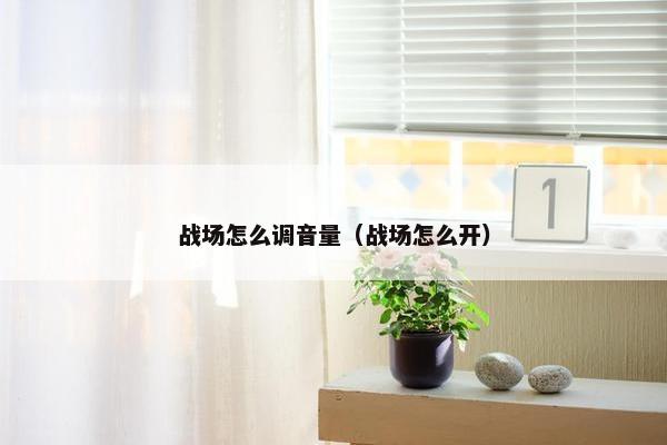 战场怎么调音量（战场怎么开）