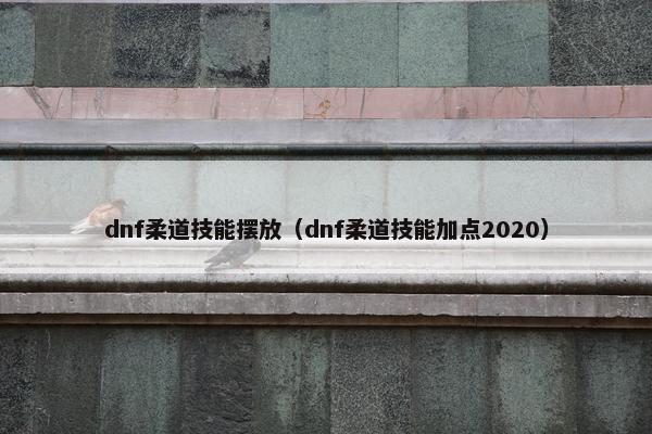 dnf柔道技能摆放（dnf柔道技能加点2020）