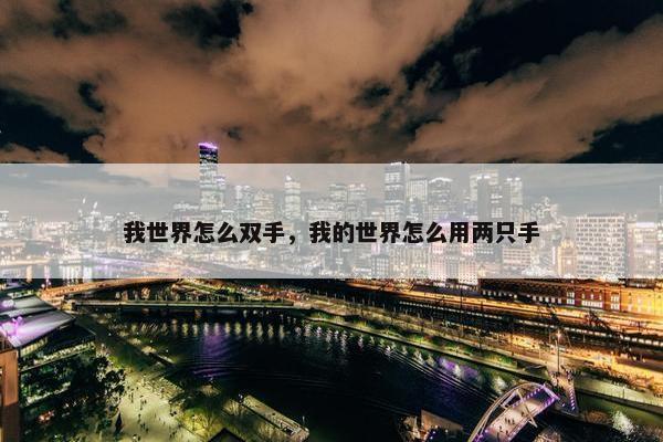 我世界怎么双手，我的世界怎么用两只手