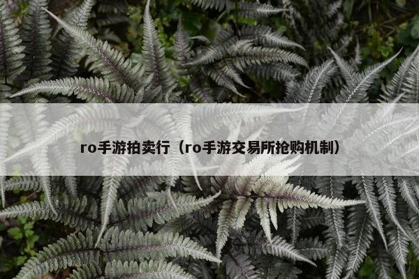 ro手游拍卖行（ro手游交易所抢购机制）