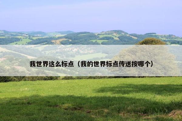 我世界这么标点（我的世界标点传送按哪个）