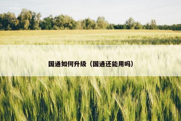 国通如何升级（国通还能用吗）