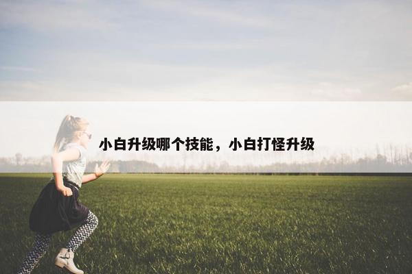 小白升级哪个技能，小白打怪升级
