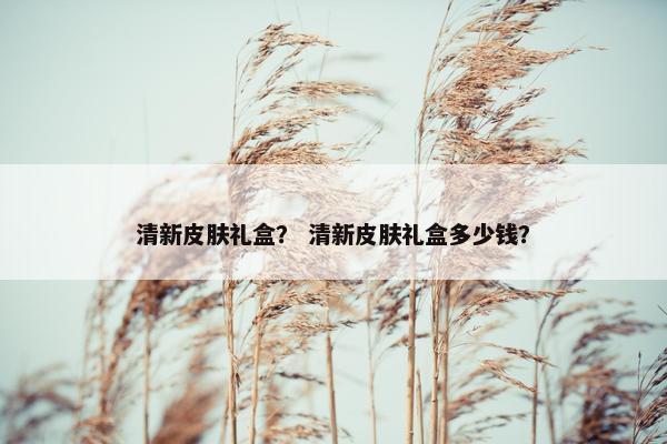 清新皮肤礼盒？ 清新皮肤礼盒多少钱？