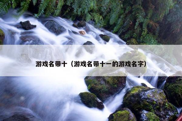 游戏名带十（游戏名带十一的游戏名字）