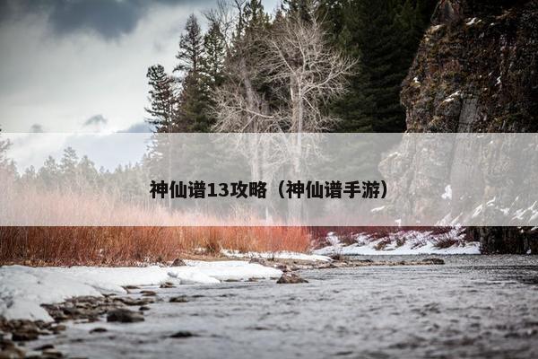 神仙谱13攻略（神仙谱手游）