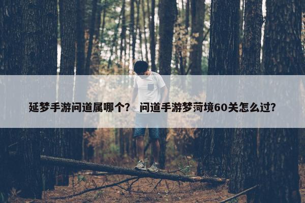 延梦手游问道属哪个？ 问道手游梦菏境60关怎么过？