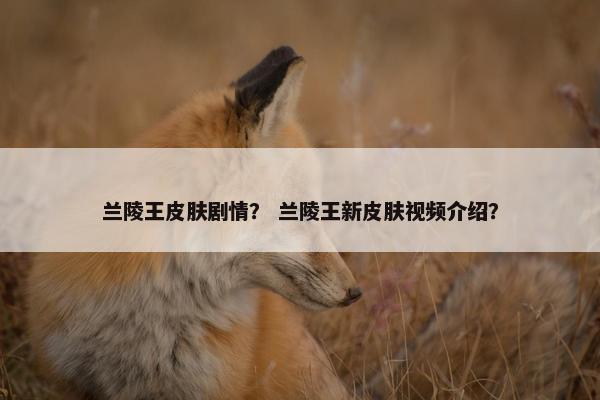 兰陵王皮肤剧情？ 兰陵王新皮肤视频介绍？