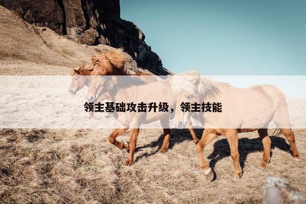 领主基础攻击升级，领主技能
