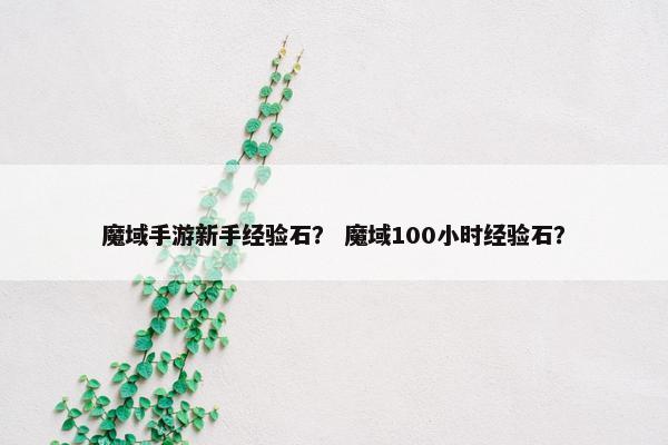 魔域手游新手经验石？ 魔域100小时经验石？