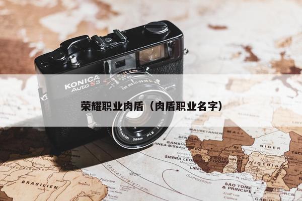 荣耀职业肉盾（肉盾职业名字）