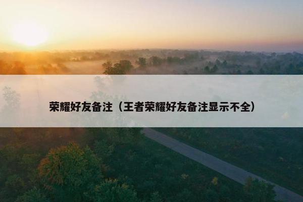 荣耀好友备注（王者荣耀好友备注显示不全）