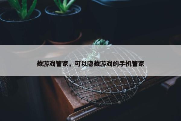 藏游戏管家，可以隐藏游戏的手机管家