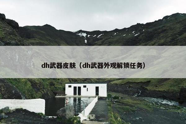 dh武器皮肤（dh武器外观解锁任务）