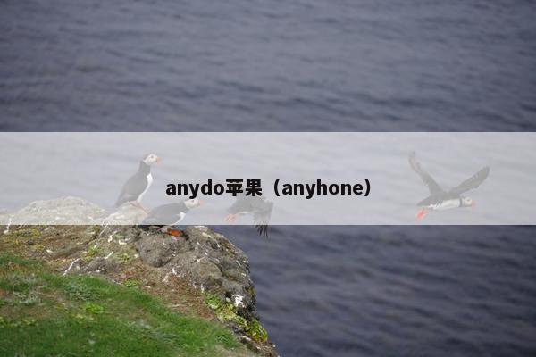 anydo苹果（anyhone）