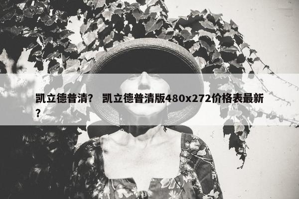 凯立德普清？ 凯立德普清版480x272价格表最新？
