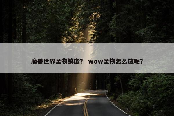 魔兽世界圣物镶嵌？ wow圣物怎么放呢？