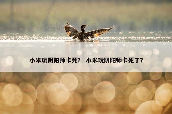 小米玩阴阳师卡死？ 小米玩阴阳师卡死了？