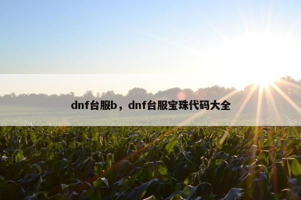 dnf台服b，dnf台服宝珠代码大全