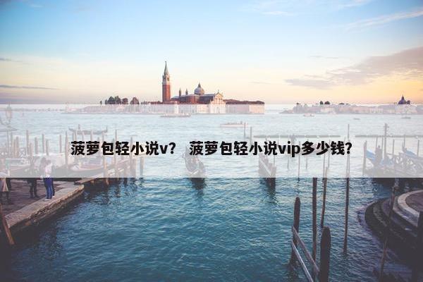 菠萝包轻小说v？ 菠萝包轻小说vip多少钱？