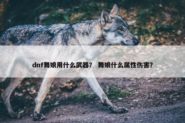 dnf舞娘用什么武器？ 舞娘什么属性伤害？
