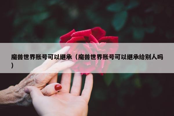 魔兽世界账号可以继承（魔兽世界账号可以继承给别人吗）
