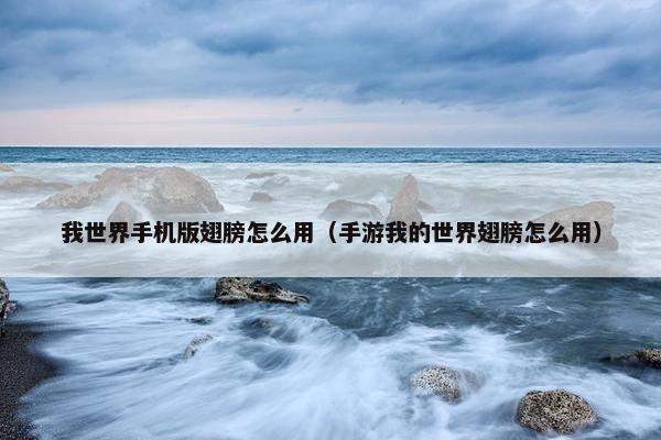我世界手机版翅膀怎么用（手游我的世界翅膀怎么用）