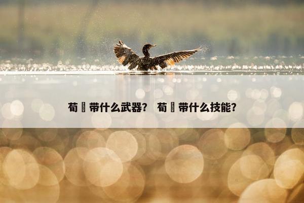 荀彧带什么武器？ 荀彧带什么技能？