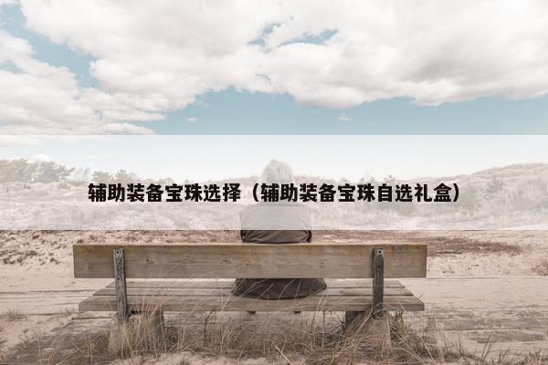 辅助装备宝珠选择（辅助装备宝珠自选礼盒）