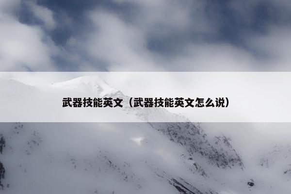 武器技能英文（武器技能英文怎么说）