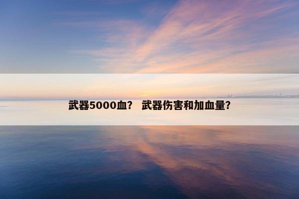 武器5000血？ 武器伤害和加血量？