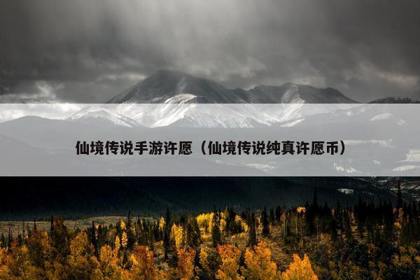 仙境传说手游许愿（仙境传说纯真许愿币）