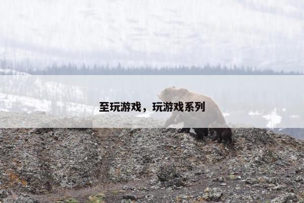 至玩游戏，玩游戏系列