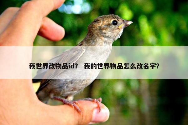 我世界改物品id？ 我的世界物品怎么改名字？
