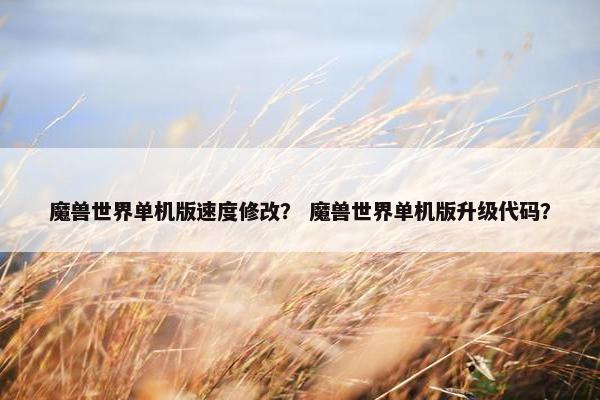魔兽世界单机版速度修改？ 魔兽世界单机版升级代码？