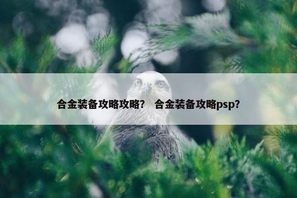 合金装备攻略攻略？ 合金装备攻略psp？