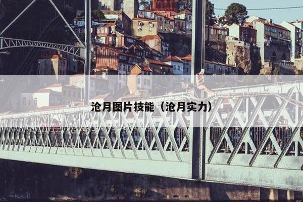沧月图片技能（沧月实力）
