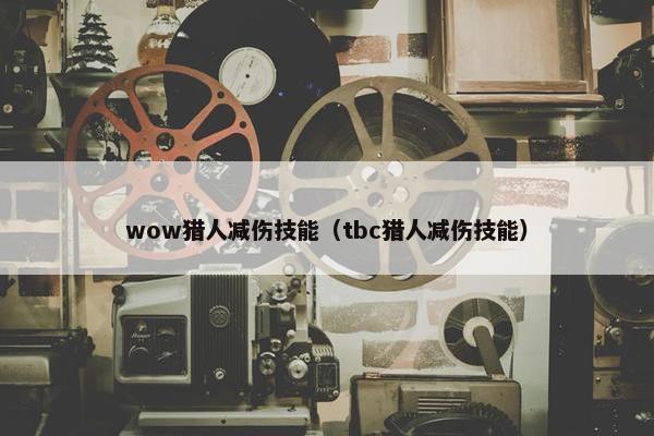 wow猎人减伤技能（tbc猎人减伤技能）
