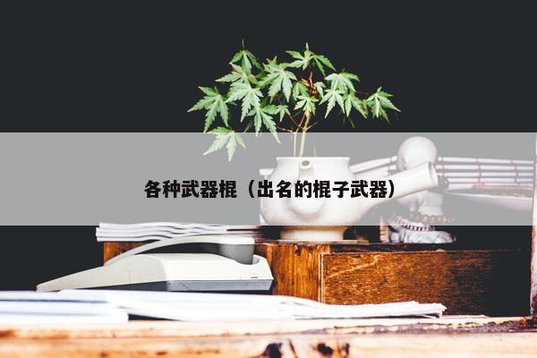 各种武器棍（出名的棍子武器）