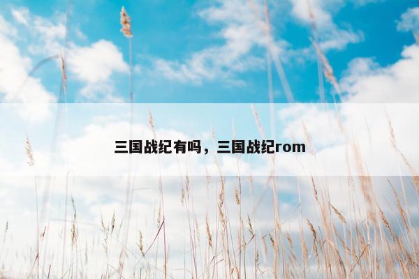 三国战纪有吗，三国战纪rom
