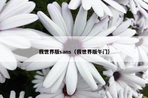 我世界版sans（我世界版午门）