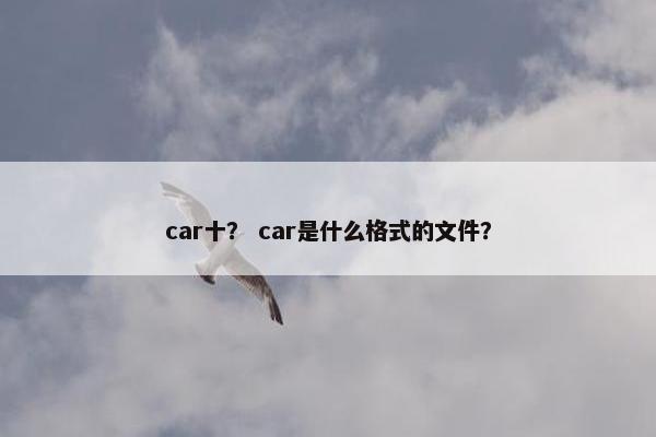 car十？ car是什么格式的文件？