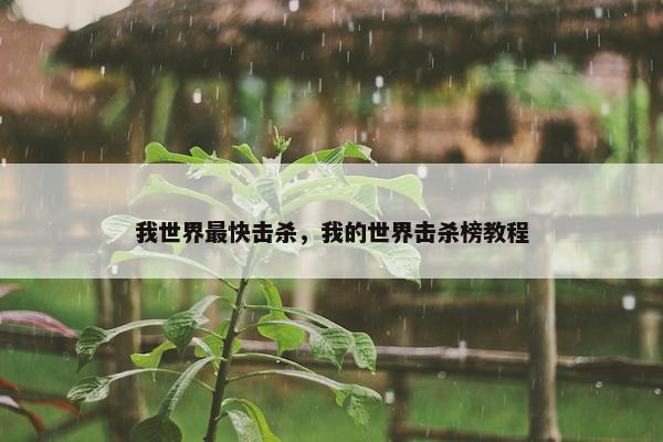 我世界最快击杀，我的世界击杀榜教程