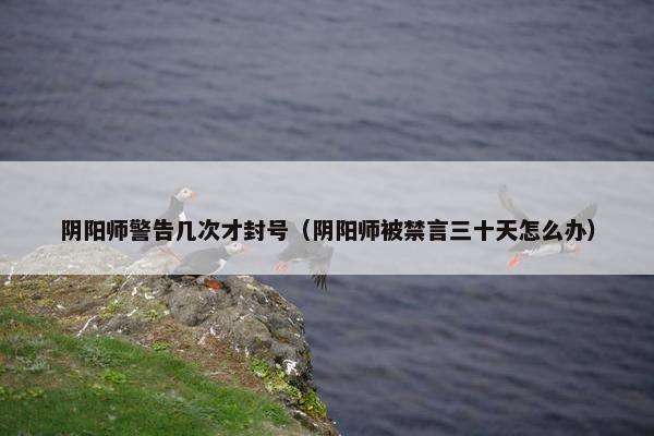 阴阳师警告几次才封号（阴阳师被禁言三十天怎么办）