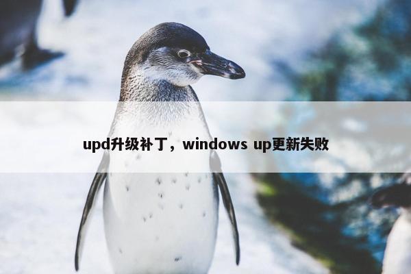 upd升级补丁，windows up更新失败