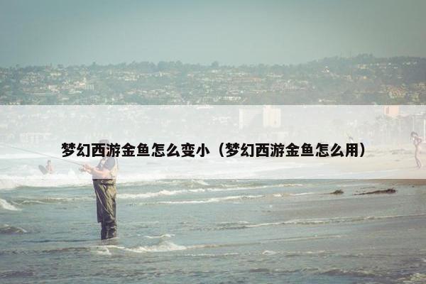 梦幻西游金鱼怎么变小（梦幻西游金鱼怎么用）